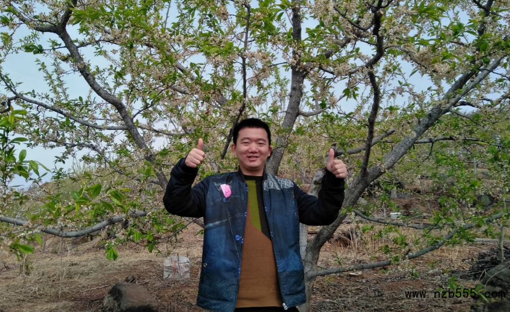 這是一張四川漢源李子哥探索農村電商之路的配圖