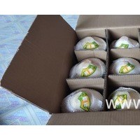 特產批發(fā)夏季水果海南去皮椰子椰青熱帶應季現摘去皮椰子文昌時令