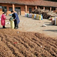 廠家批發湖北隨州油茶籽殼、茶粕、現貨量大從優