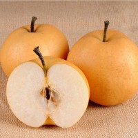 山東萊陽豐水梨特5斤6-8?，F摘脆甜梨新鮮水果批發