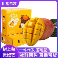 海南三亞樹上熟貴妃芒現貨8斤應季批發(fā)非金煌芒整箱 直播一件代發(fā)