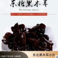 東北黑木耳干貨農產品白木耳批發(fā)木耳秋木耳小碗耳無根500g