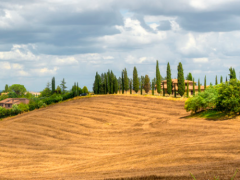 休閑農業最重要的三個關口:休閑農業最重要的三個關口