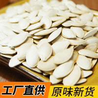 內蒙古生南瓜子中片 廠家批發(fā)帶殼光板葫蘆籽 南瓜籽炒貨原料