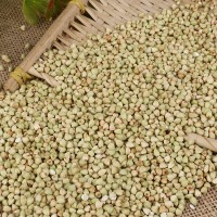 廠家直發(fā)優(yōu)質糧食蕎麥農(nóng)家自產(chǎn)五谷雜糧批發(fā)散裝粗糧蕎麥米