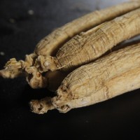 集安邊條人參長(zhǎng)白山生曬白參 產(chǎn)地直發(fā)干林下參 人參會(huì)展禮品