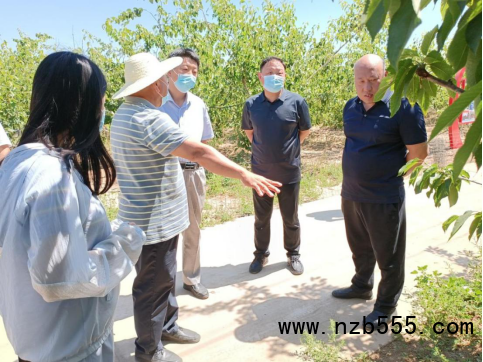 河北：寧晉縣組織開展農(nóng)業(yè)技術(shù)培訓(xùn)會