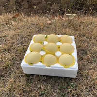 果園直發(fā)現貨采摘新鮮蘋果泡沫禮盒可口多汁山東煙臺奶油富士