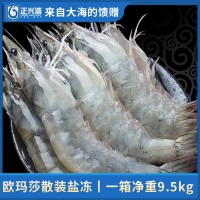 白蝦 熱賣(mài)爆款 批發(fā) 餐飲預(yù)制菜 低 團(tuán)購(gòu) 采購(gòu)專(zhuān)賣(mài)商超 酒店 自助