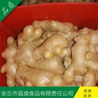 出口歐美、加拿大、荷蘭、英國(guó)級(jí)保鮮姜、風(fēng)干姜（價(jià)格面議）