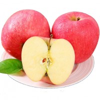 陜西紅富士現摘甜脆富士現摘延安洛川蘋果批發(fā)基地
