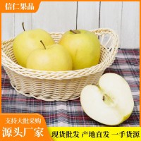 當季山東特產(chǎn)煙臺黃金奶油富士冰糖心帶箱10斤裝農(nóng)場直供現(xiàn)摘現(xiàn)發(fā)