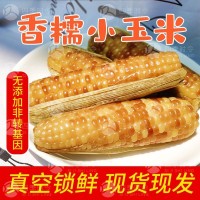 西雙版納香糯小玉米 軟糯香甜 早餐粗糧 真空即食玉米棒 廠家直銷(xiāo)