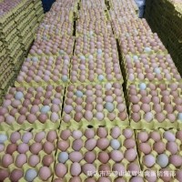 批發新鮮農家散養土雞蛋草雞蛋笨雞蛋粉殼蛋鮮雞蛋柴雞蛋谷物蛋
