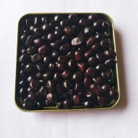 批發(fā)榨油牡丹種子優(yōu)質(zhì)鳳丹籽油料牡丹籽牡丹種子價(jià)格油用牡丹種子