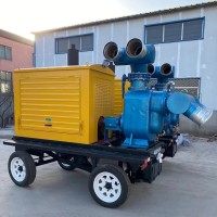 廠家可定做防汛排污移動泵車 河流湖泊防汛抽水泵 多功能柴油泵車