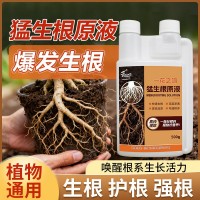 定制猛生根原液強力生根壯苗劑生根粉液移栽扦插果樹花卉通用促根