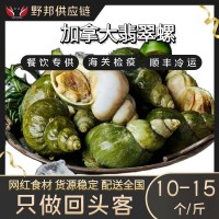 加拿大翡翠螺大海螺海鮮水產自助餐刺身料理火鍋燒烤食材批發野生