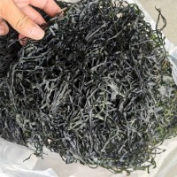 海帶絲干貨烘干海帶絲海帶圈圈跑江湖地攤展銷餐飲海帶絲批發貨源
