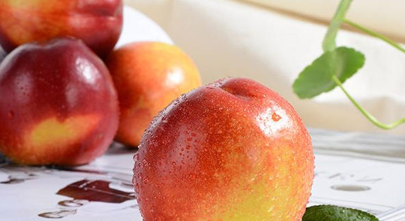 ScreenShot_2026-01-16_164010_755