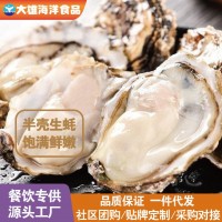 半殼生蠔特大原漿牡蠣鮮活冷凍新鮮帶殼生蠔燒烤商用批發