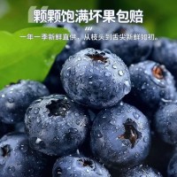 云南藍(lán)莓新鮮產(chǎn)地大藍(lán)莓云南怡顆莓寶寶L25藍(lán)莓鮮果順豐京東