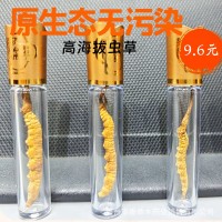 【凍干蟲草】蟲草干貨蟲草禮盒滋補(bǔ)品冬蟲夏草禮盒批發(fā)產(chǎn)地直供